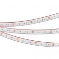 B60 12V 14.4 W/m IP65-IP68 B60 12V 14.4 W/m IP65-IP68