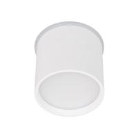 Светильник SP-CYLINDO-R75-7W Day4000 (WH, 110 deg, 230V) (Arlight, IP54 Металл, 3 года)