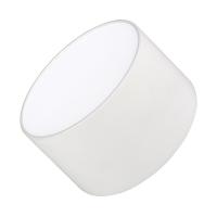 Светильник SP-RONDO-120A-12W Day White (Arlight, IP40 Металл, 3 года)