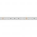 B60 24V 14.4 W/m IP65-IP68 B60 24V 14.4 W/m IP65-IP68