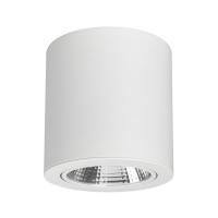 Светильник SP-FOCUS-R140-30W Day White (Arlight, IP20 Металл, 3 года)