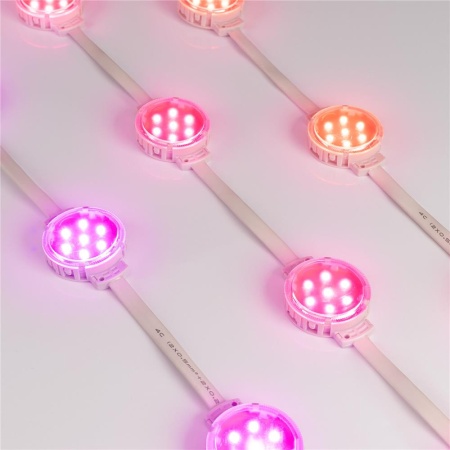 Модуль управляемый SPI-F7-D50 24V RGB-RAM-Auto (1.25W, IP68, 120 deg) (Arlight, Пластик, 3 года)