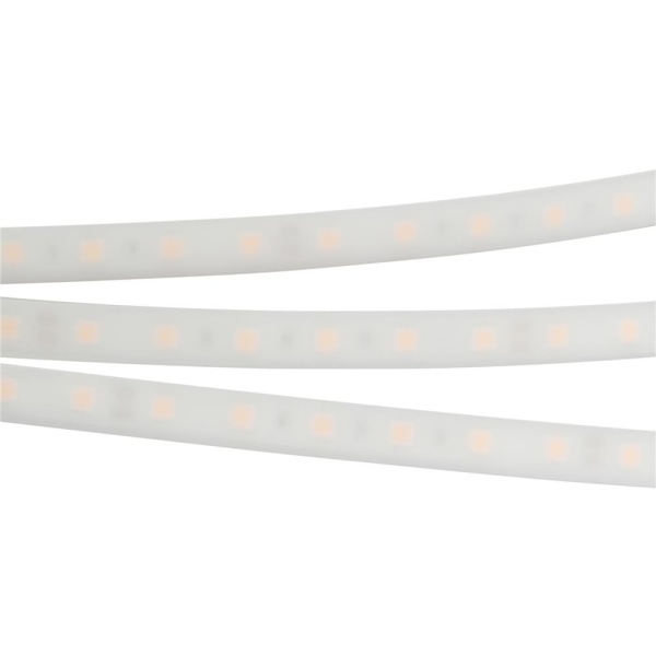 Светодиодная лента герметичная RTW-PW-B60-13mm 24V Day4000 (14.4 W/m, IP66, 5060, 5m) (Arlight, -)