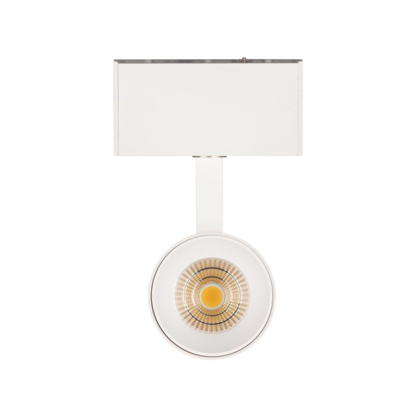 Светильник MAG-SPOT-45-R85-12W Warm3000 (WH, 36 deg, 24V) (Arlight, IP20 Металл, 3 года)