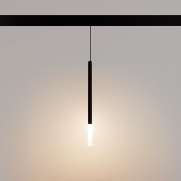 Светильник MAG-ORIENT-STICK-HANG-R20-6W Warm3000 (BK, 180 deg, 48V) (Arlight, IP20 Металл, 5 лет)