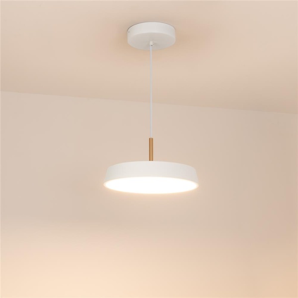 Светильник SP-ELEGANT-R300-17W Warm3000 (WH, 120 deg, 230V) (Arlight, IP20 Металл, 3 года)