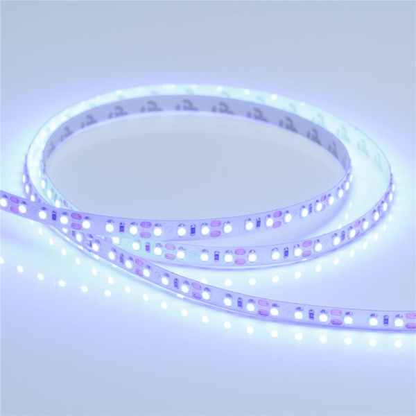 Светодиодная лента RT 2-5000 12V Blue 2x (3528, 600 LED, LUX) (Arlight, 9.6 Вт/м, IP20)