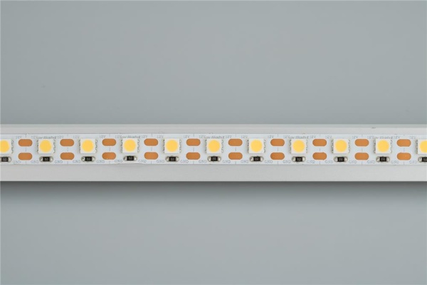 Светодиодная лента RT 2-5000 12V Cx1 Cool 8K 2x (5060, 360 LED, LUX) (Arlight, 15.6 Вт/м, IP20)