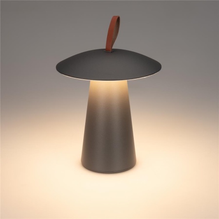 Светильник SP-PATIO-TAB-2W Warm3000 (GR, 127 deg) (Arlight, IP54 Металл, 2 года)