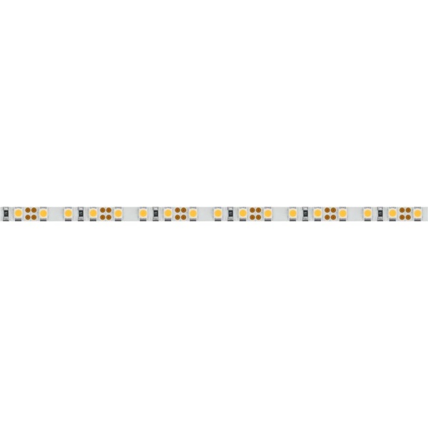 Светодиодная лента RT 2-5000 12V Cool 8K 5mm 2x (3528, 600 LED, LUX) (Arlight, 9.6 Вт/м, IP20)