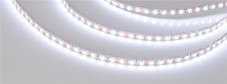 Светодиодная лента RZ-A120-6mm 12V Cool 8K (12 W/m, IP20, 2835, 5m) (Arlight, 12 Вт/м, IP20)