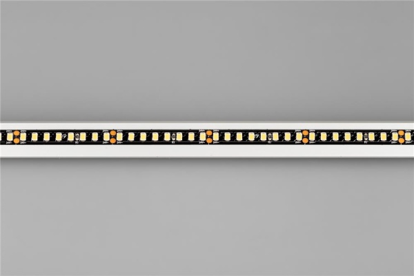 Светодиодная лента RT-5000-2835-160-24V Day4000 (Black 8mm, 12W/m, IP20) (Arlight, -)