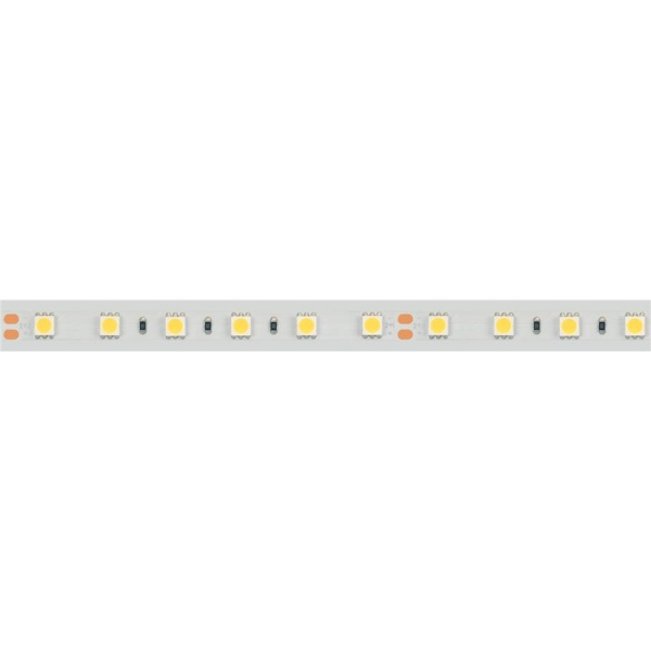 Светодиодная лента герметичная RTW-PFS-B60-13mm 24V Day5000 (14.4 W/m, IP68, 5060, 5m) (Arlight, 14.4 Вт/м, IP68)