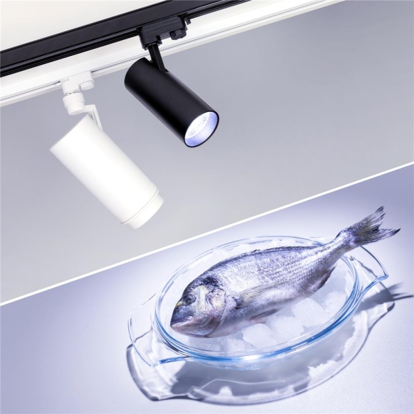 Светильник LGD-GERA-4TR-R74-20W Cool SP7500-Fish (BK, 24 deg, 230V) (Arlight, IP20 Металл, 3 года)